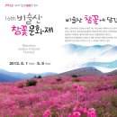 비슬산 참꽃문화제 이미지