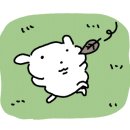 석천불한증막사우나 이미지