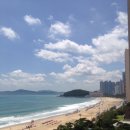 팔레드시즈 이미지