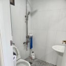 지니비치향 이미지