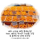 세븐일레븐서귀포로얄포레점 | 제주 서귀포 매일 올레시장! feat. 제주도 먹거리 기념품 구입 & 올레시장 공영주차장