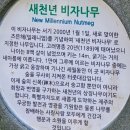 우진골프 이미지