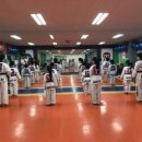 블랙벨트 태권 스쿨 이미지