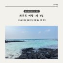 [제주 여행] 제주도 1박 2일 방문이지만 당일치기였던 여행 후기