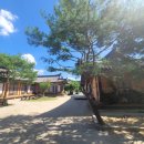 무릉도원면-32 이미지