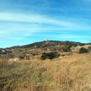 소호목장 2 이미지