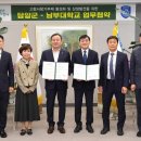 남부대학교 로컬세계