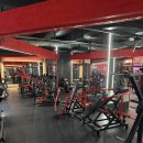 바이젝 월드 피트니스 이미지