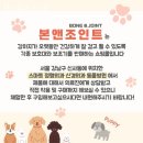신사동애견샵 본앤조인트 사람들의 리뷰를 확인하세요