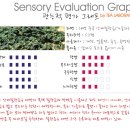 [청차] 14년 안계 철관음 (가을차) 상급 이미지