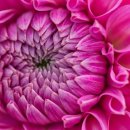 이글골프스쿨 이미지