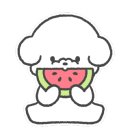 어부바펜션 이미지