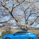 개화1리마을회관 이미지