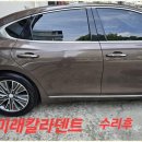 명성덴트칼라