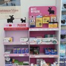 키다리약국 이미지