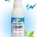 크린크린세탁소 이미지