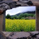 엄마의아침 이미지