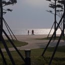 망상오토캠핑리조트 이미지