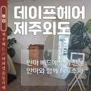 간단헤어커트(오후) | 제주 헤드스파 남성 커트 추천 데이프헤어 제주외도
