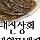 대진상회 이미지