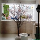 초민한의원 이미지