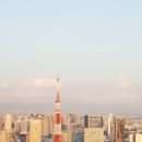 일본 도쿄 가볼만한곳 롯폰기 힐즈 전망대 일몰과 도쿄타워 야경 감상 이미지