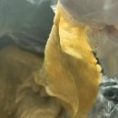 동양마트 | 독박투어 보고 달려간 군산 동양어묵… 구매 실패한 후 집에서 만든 어묵꼬치탕 후기