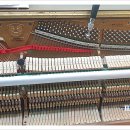 현 피아노 교습소 이미지