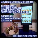 피버트 이미지