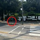 수위계 이미지