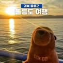 명당산단2지구공원 | 지구놀이터 울릉도 여행 셋째날 태하향목관광모노레일 카페너와