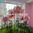 로즈가든 | [서울/성수] 아이소이 로즈 팝업 스토어 로즈오또가든 후기