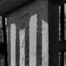 일재 이항선생 유허비 이미지