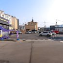 댕댕이묭실 | 드디어 찾았다! 내 강아지 묭실, 근처 애견미용 정착지 발견했죠