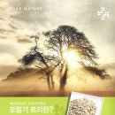 이노블코스메틱 이미지