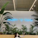 명동 베이커리 카페 루프트커피 / 치즈스콘, 다쿠아즈 솔직리뷰 !