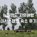 금광농장 | 자유여행_아서스 패스 내돈내산 에어비앤비 숙소 후기 (feat.뉴질랜드에서 다른 사람 집에 들어간다면...)