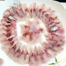 청어식당 | 속초 대포항 옥이네 활어 6만원 옥이카세 제철생선 맛집 후기 밀치 청어 광어세꼬시 제대로 먹고 온 날