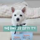 포리네 | 강아지 연골간식 추천 포리틀 오리연골 닭안심 동결건조 간식 후기