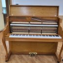 김해구지초등학교 이미지