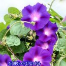 농부이야기