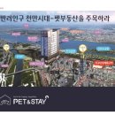 앤스테이 이미지