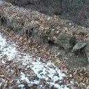 월평동산성 이미지