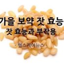 잣 효능 잣 칼로리 영양성분 이미지