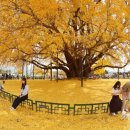 은행광장 이미지