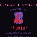 루아카데미 타로 연구소 네이버블로그