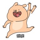 카니발노래클럽 이미지