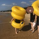 합자회사만리포수상레저 - 태안군 모항항길 2 | 태안리조트추천 - 가격 착하고 시설 깔끔한 수영장있는 만리포해수욕장펜션