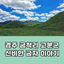 수의경로당 | 경주 금척리 고분군 신비한 금자 이야기