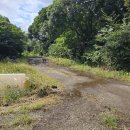 동백목장2 이미지